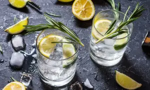 Två glas med gin och tonic, is, citron- och limeklyftor samt rosmarinkvistar på en mörk yta.